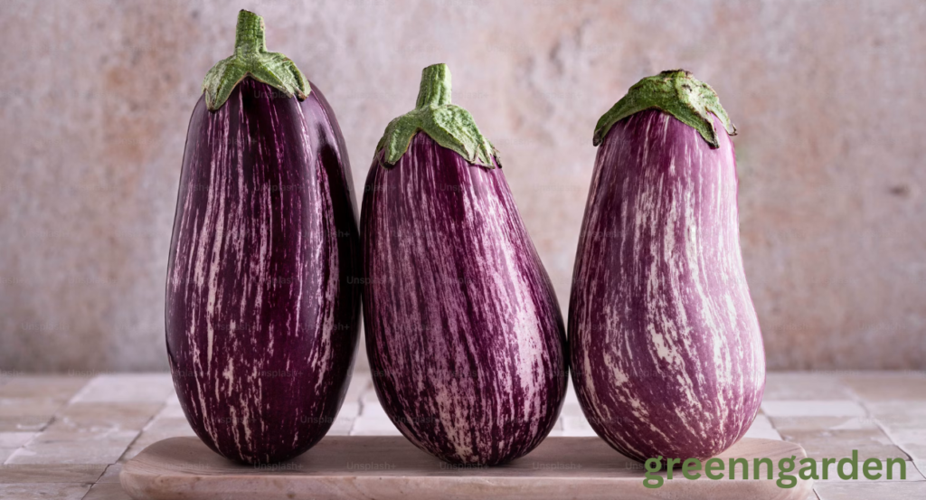eggplant shortage