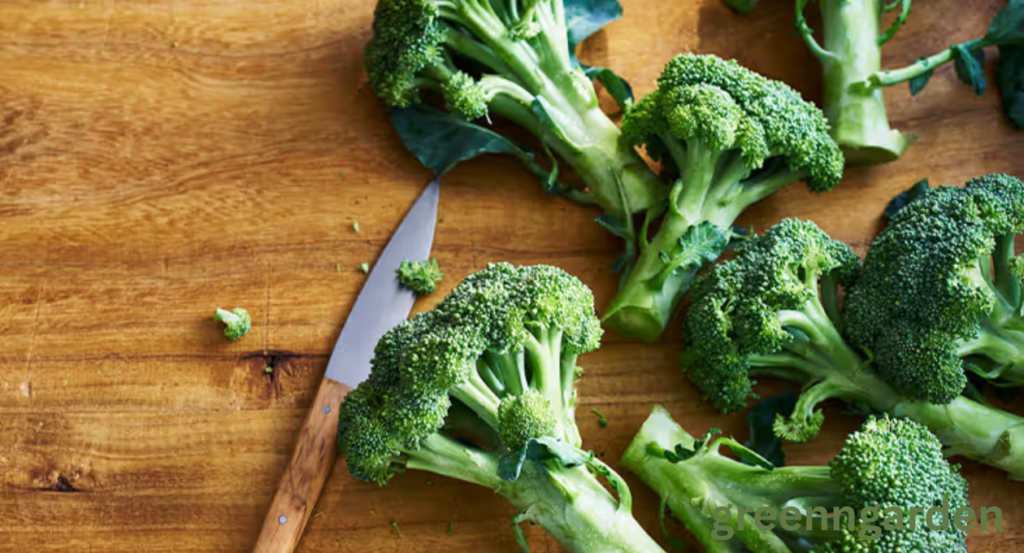 broccoli shortage