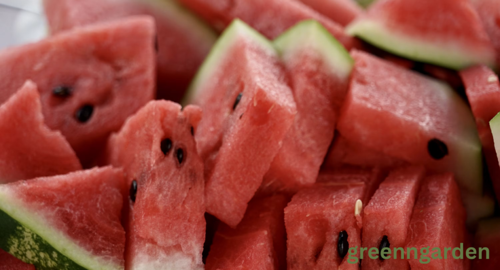 Watermelon Shortage