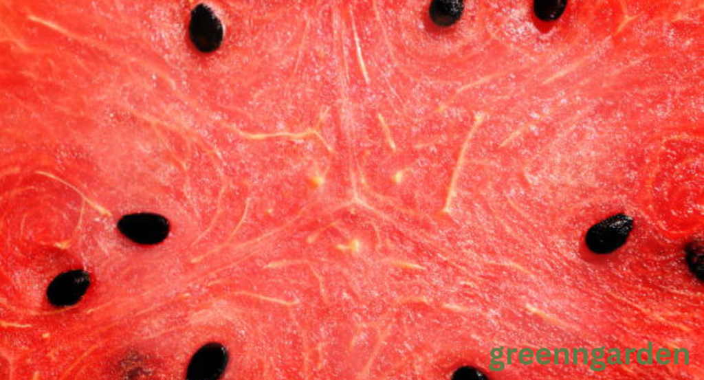 Fruits With Black Seeds