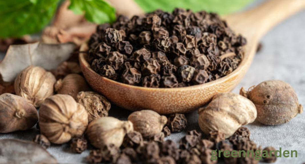 black pepper shortage