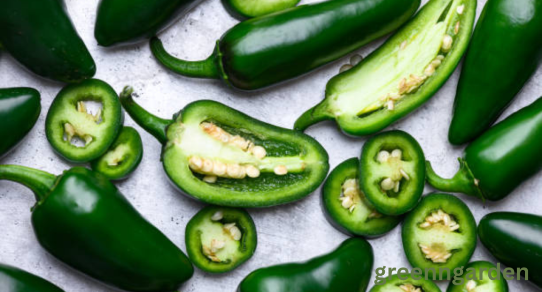 jalapeno shortage