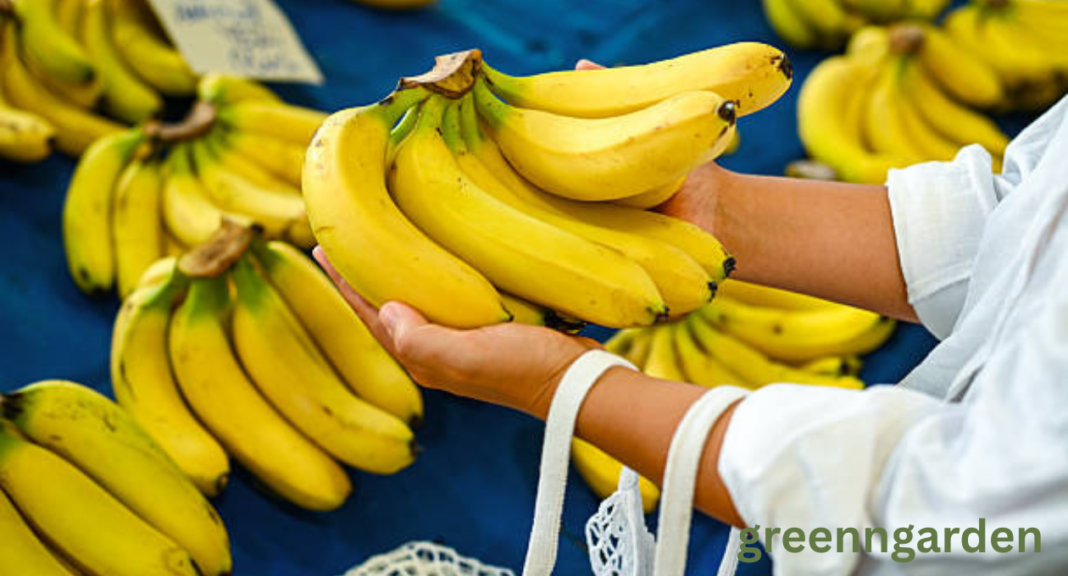 banana shortage
