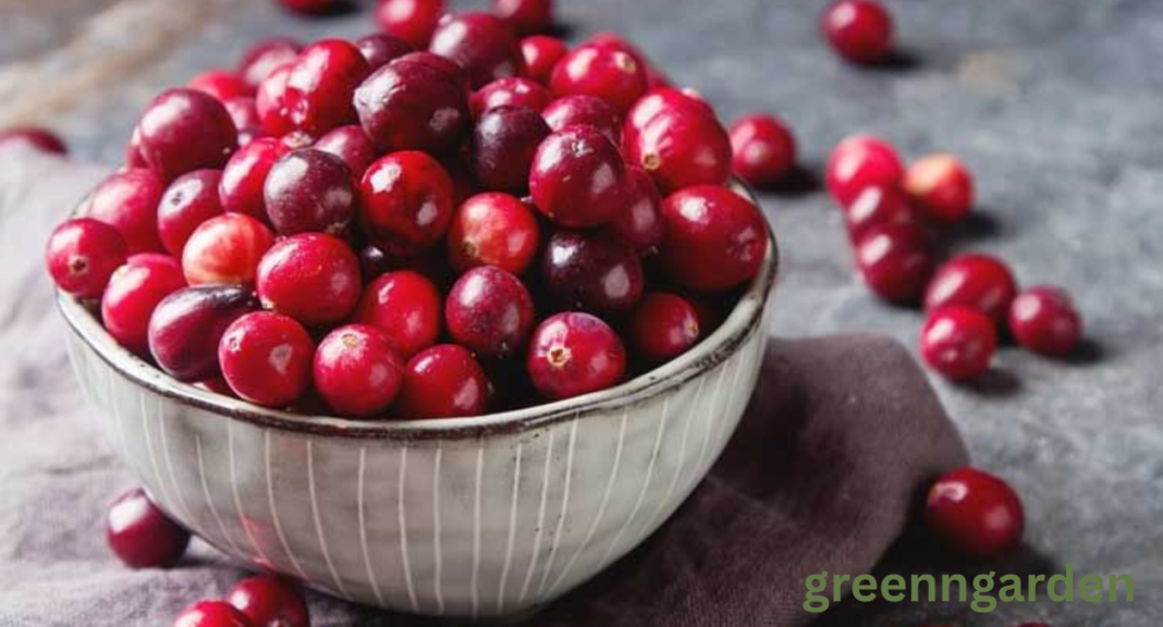 cranberry shortage