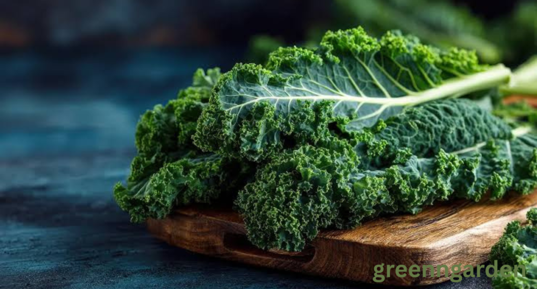 kale shortage