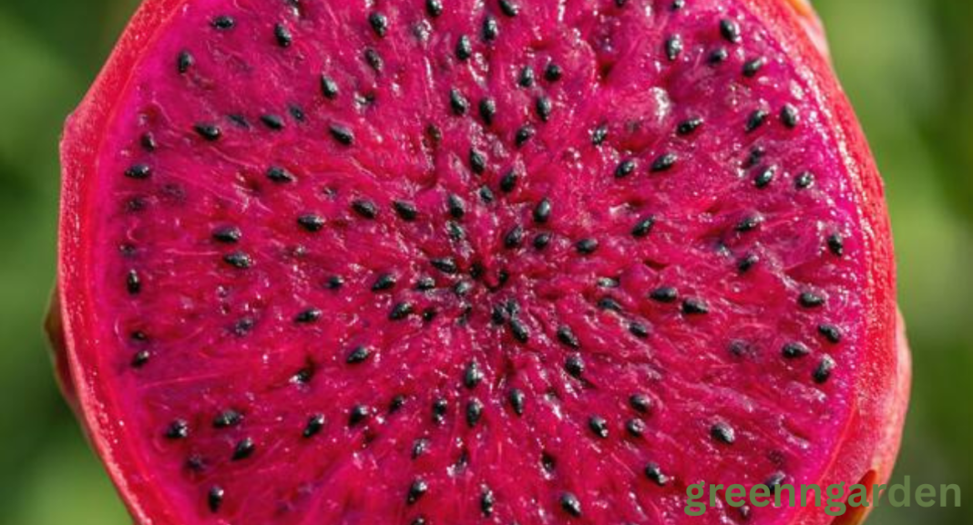 Fruits With Black Seeds